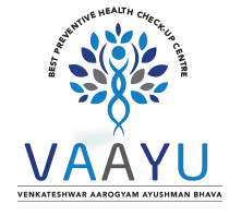vaayu logo